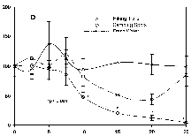 Bunny Flat Trailhead
